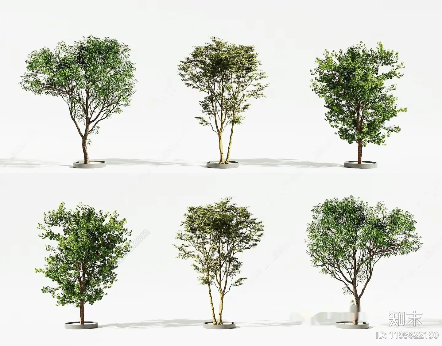 A Tree In A Pot 3D Model – 618 – CORONA Render