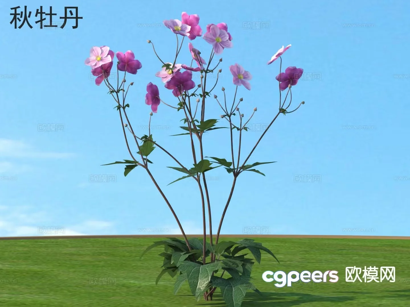 Autumn peony flowers and plants flowers 3d model
