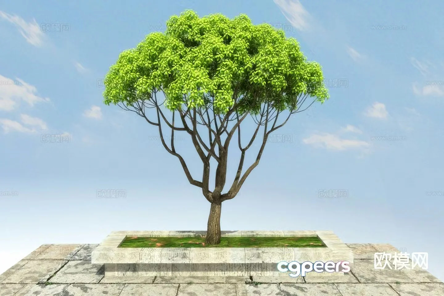 Landscape tree 3d model