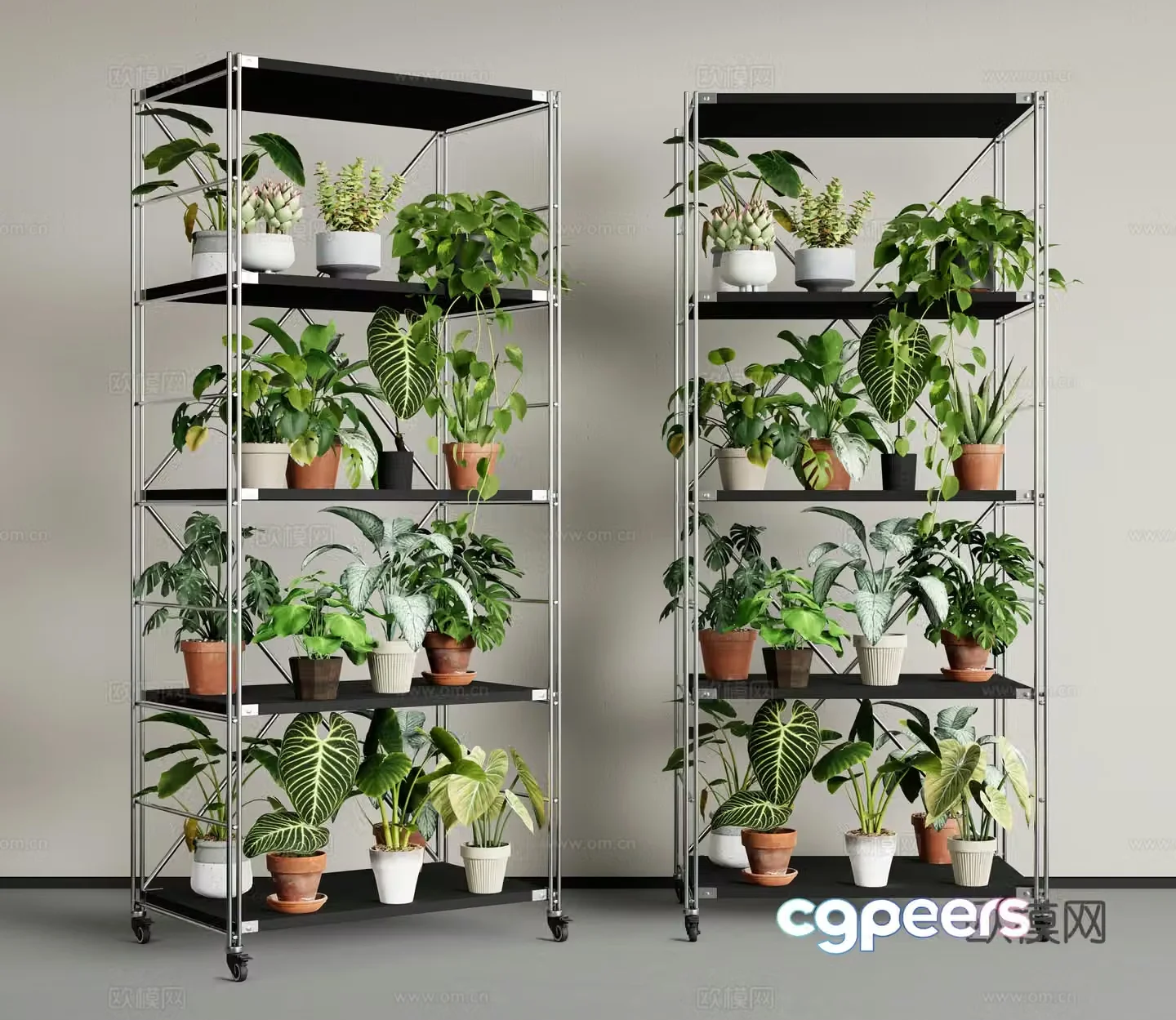 Modern plant rack flower stand potted plant pothos 3D model