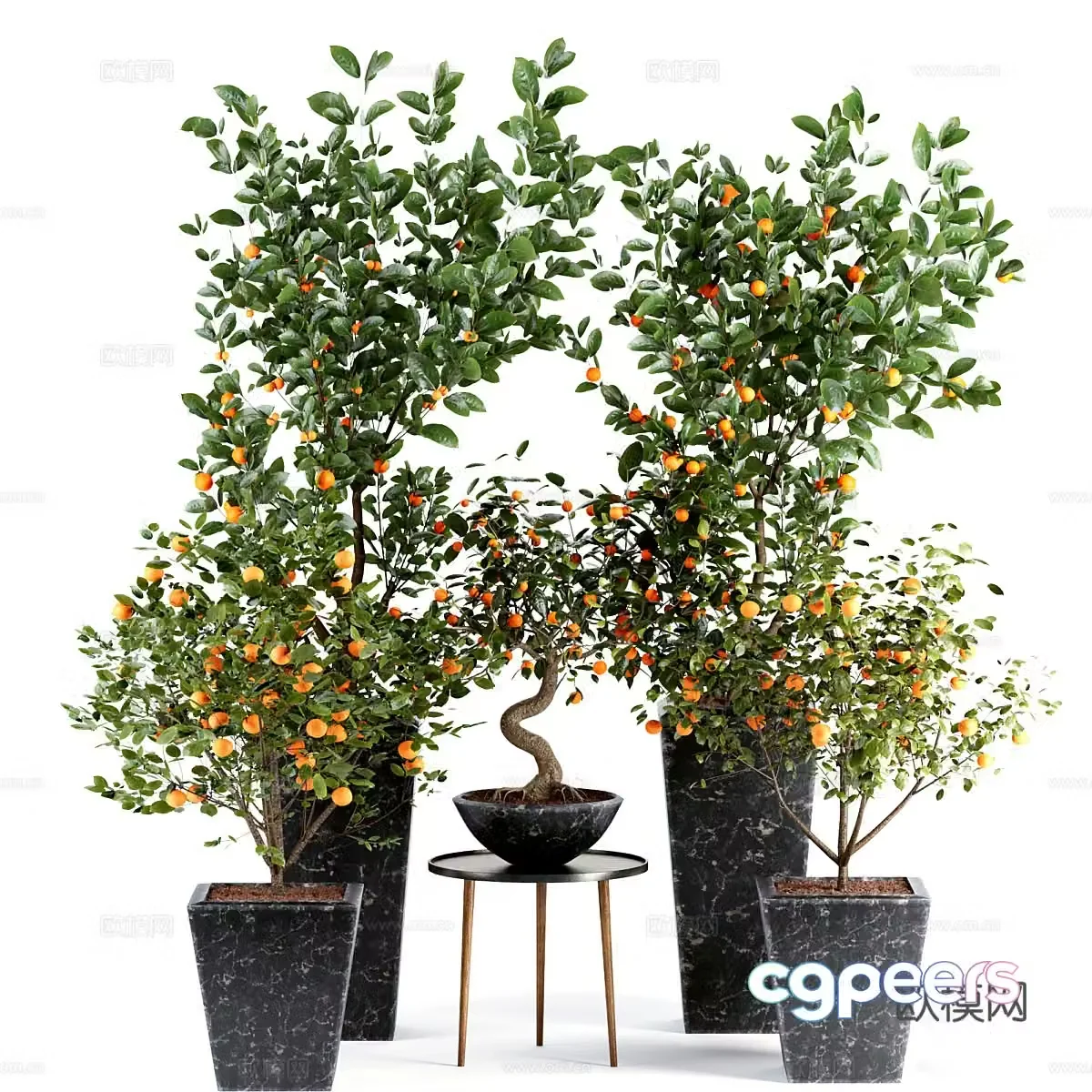 Orange tree potted plant 3d model