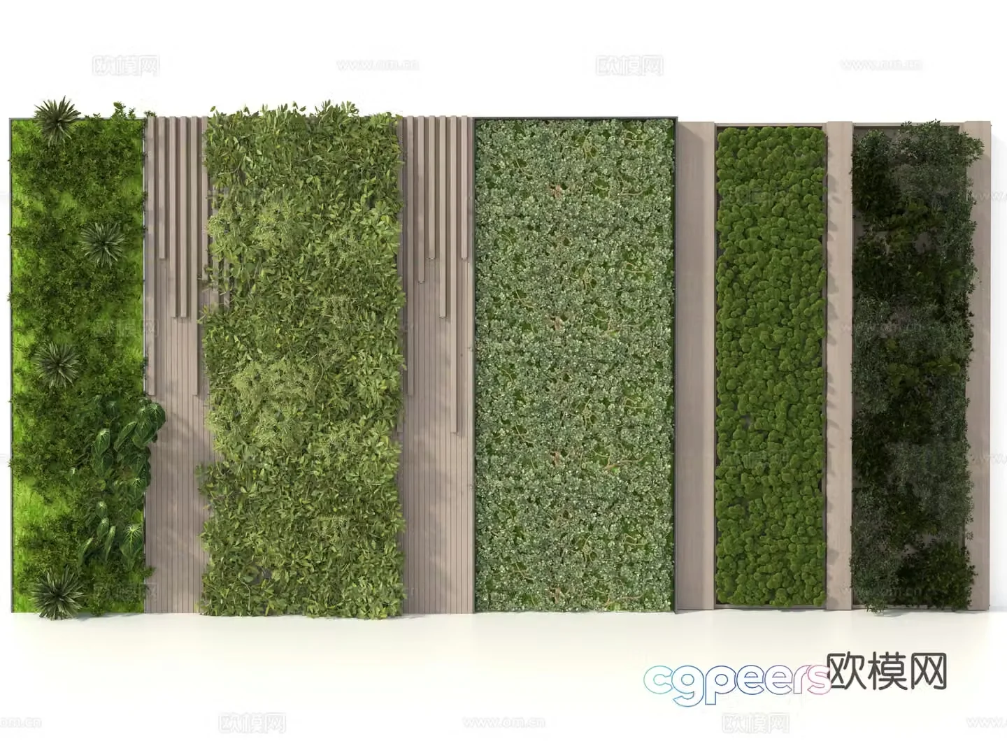 Green plant wall Plant wall 3d model