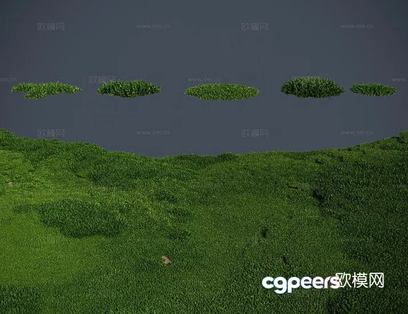 Modern meadow lawn Moss meadow 3d model
