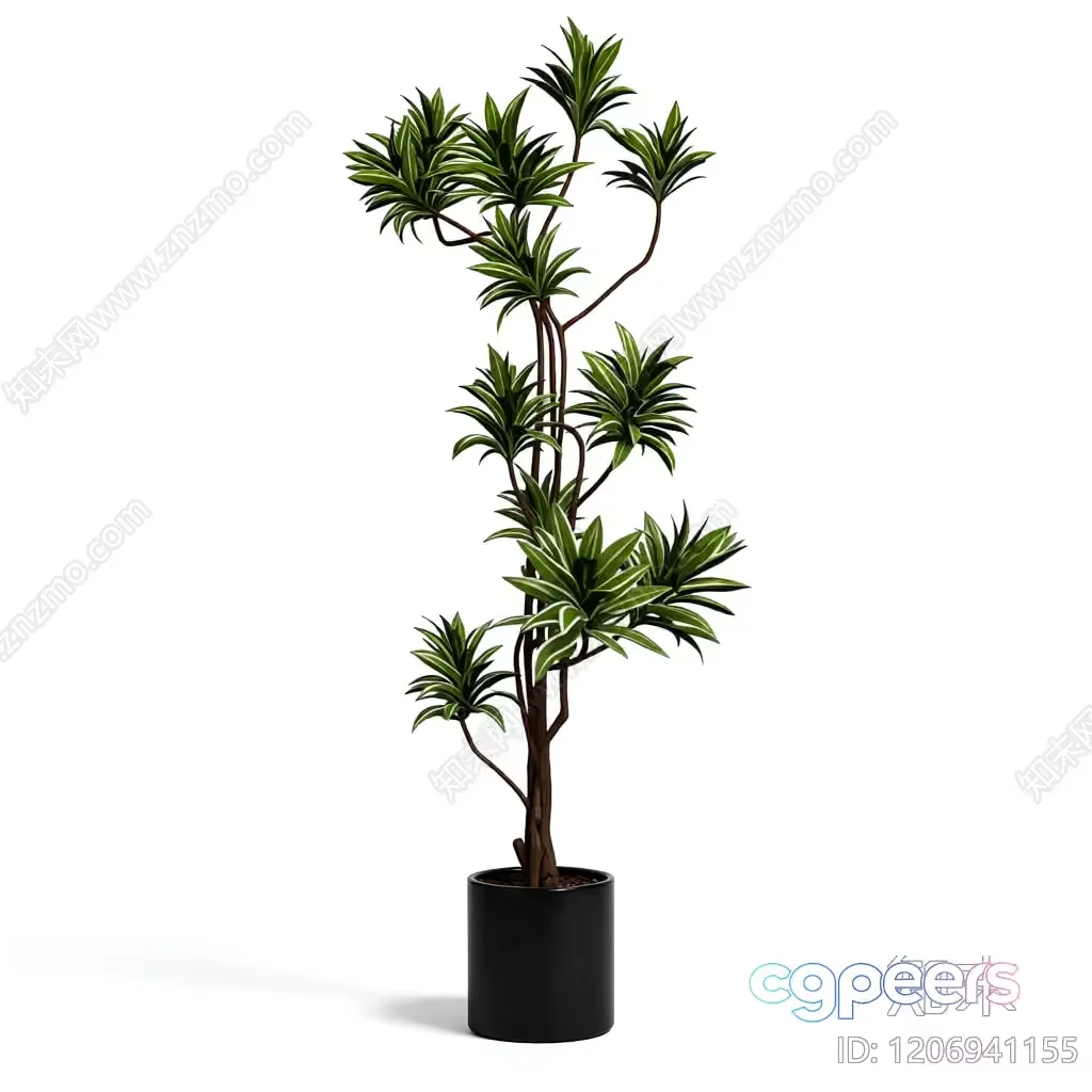 Tall Green Plant In A Pot 3D Model – 2006 – VRAY Render