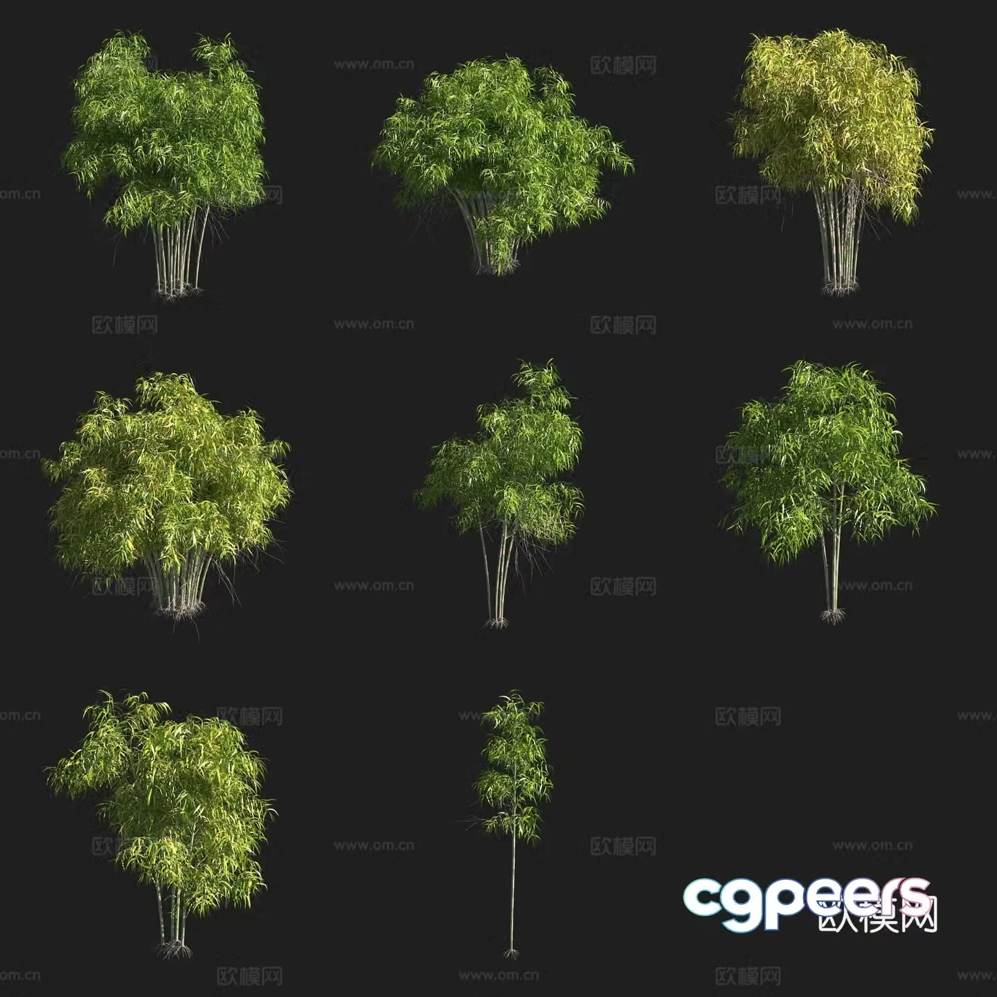 Ink bamboo bamboo bamboo forest 3d model