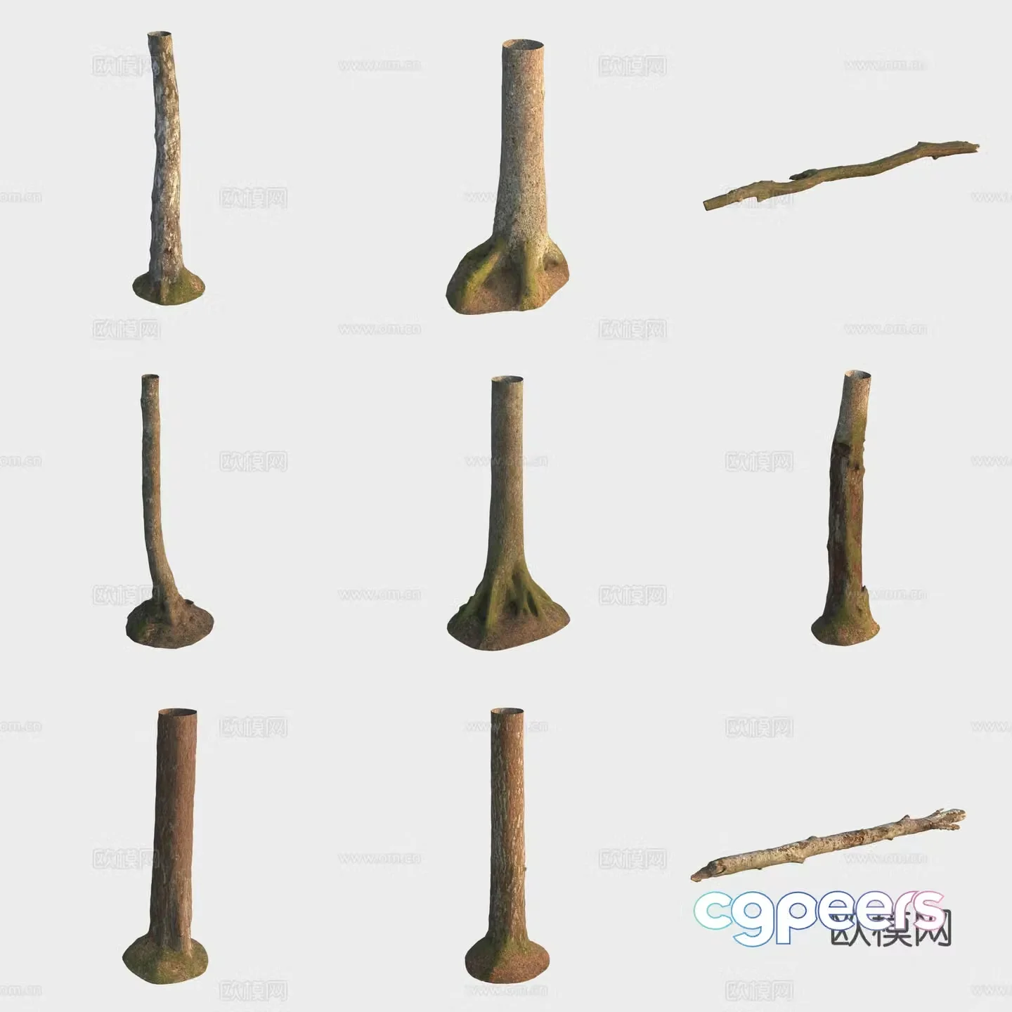 3d model of trunk branches stump