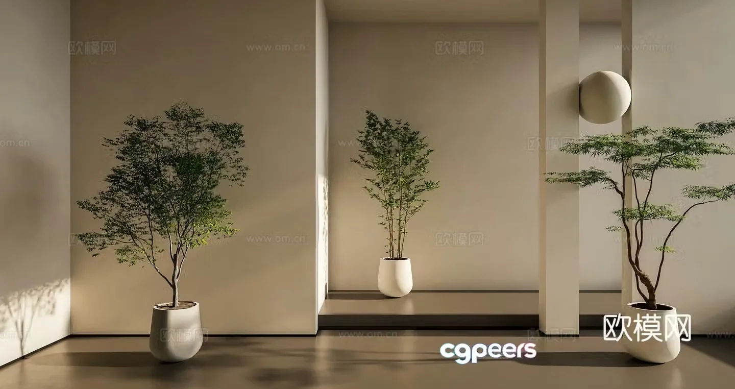indoor potted kidney fern plant green plant 3d model