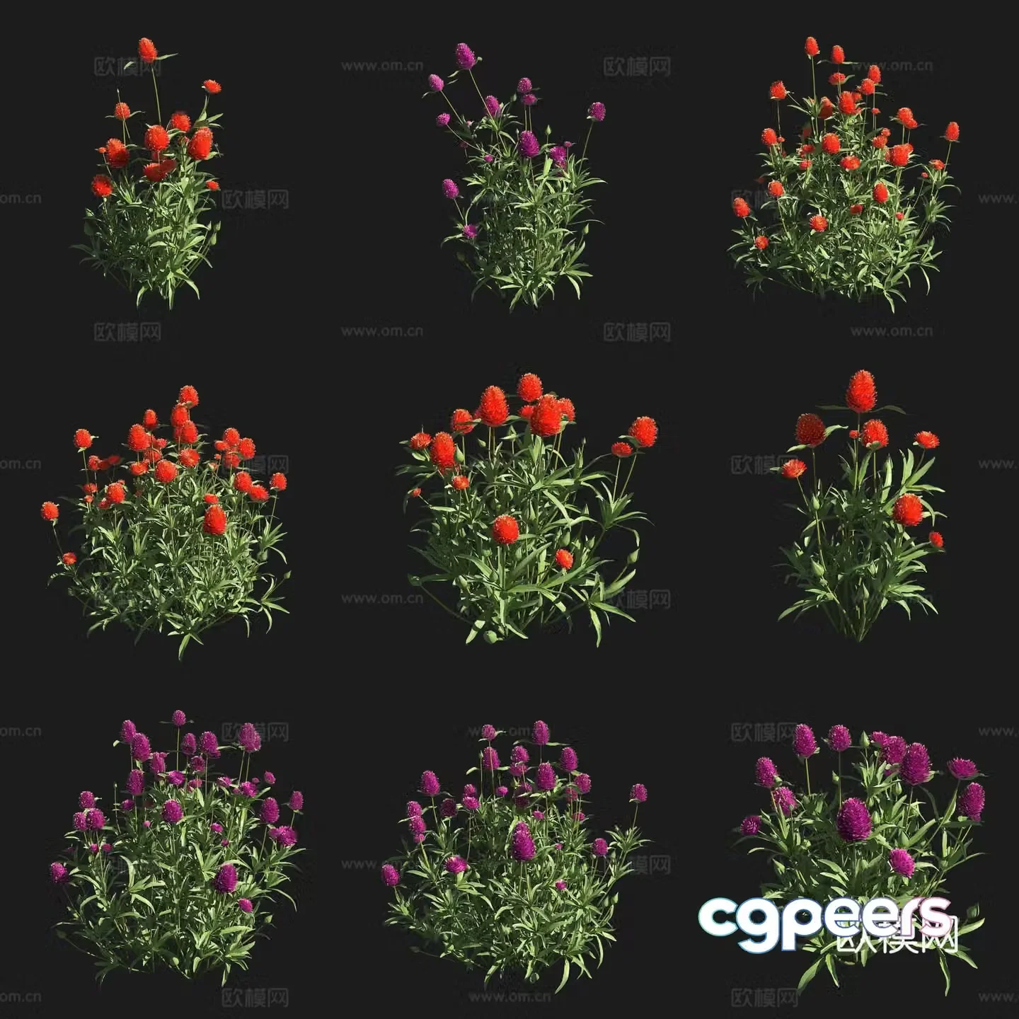Yellow flowers thousands of days red shrubs flowers plants grasslands plants 3D model