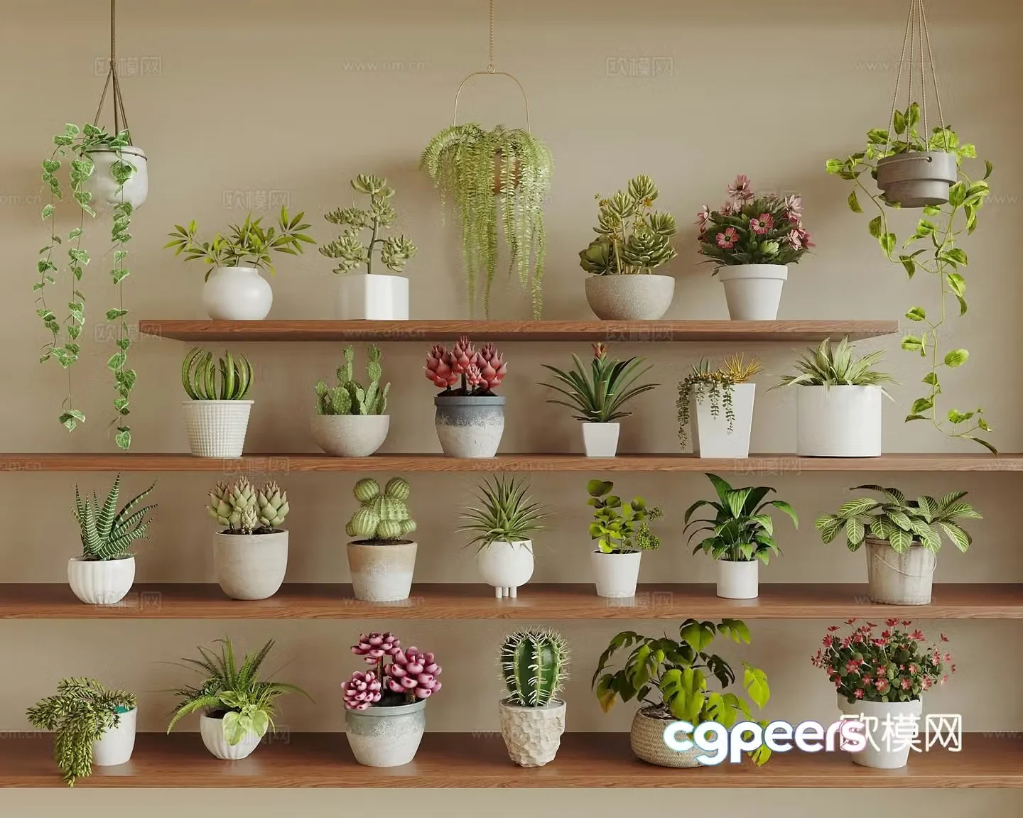Modern potted plants succulent potted plants spider plants green ivy cactus desktop potted plants 3D model
