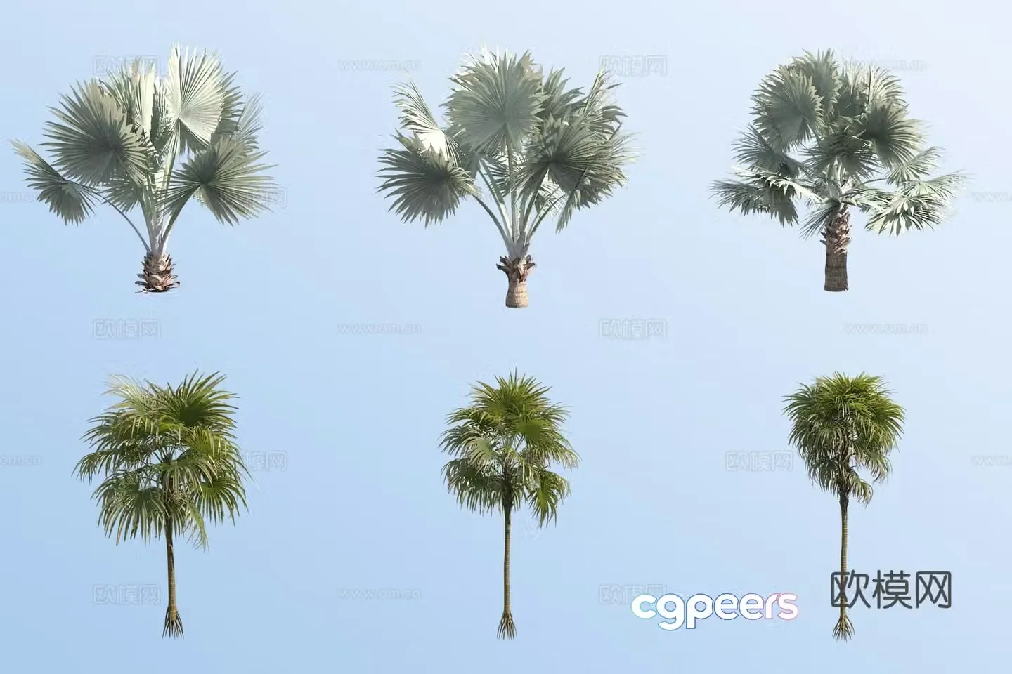 Overlord Brown Fork Thorn Palm Tropical Tree 3D Model