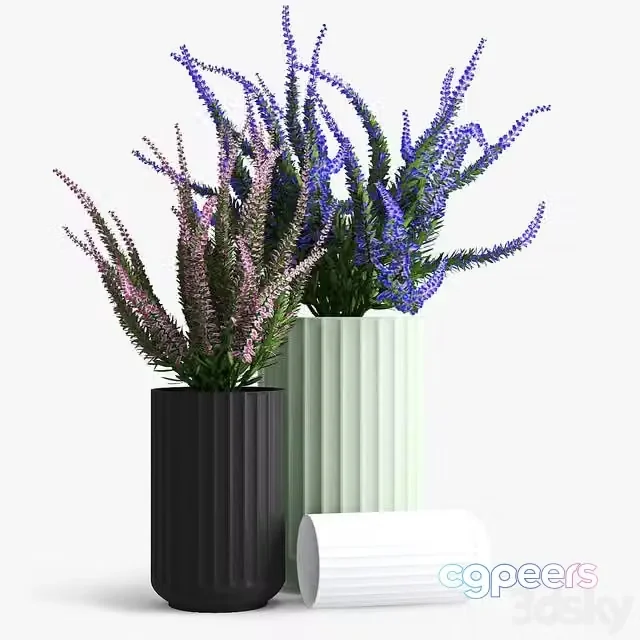 3ds Max Free – Lyngby_porcelain