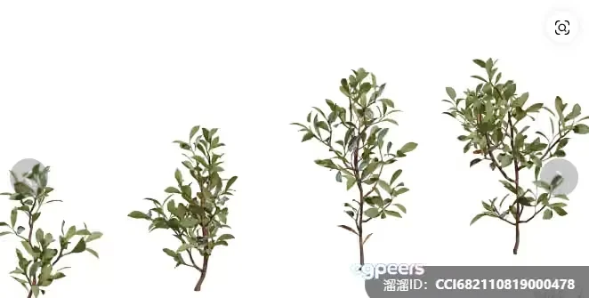 Green Plants 3D Model – 9121 – VRAY Render