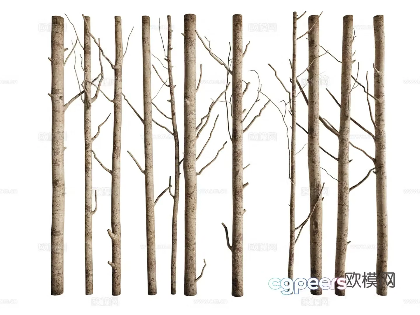 Medieval dead tree trunk partition 3D model