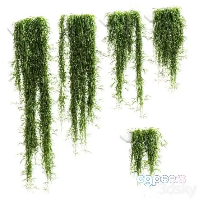 3ds Max Free – Hanging plants for shelves. 5 models. set 1