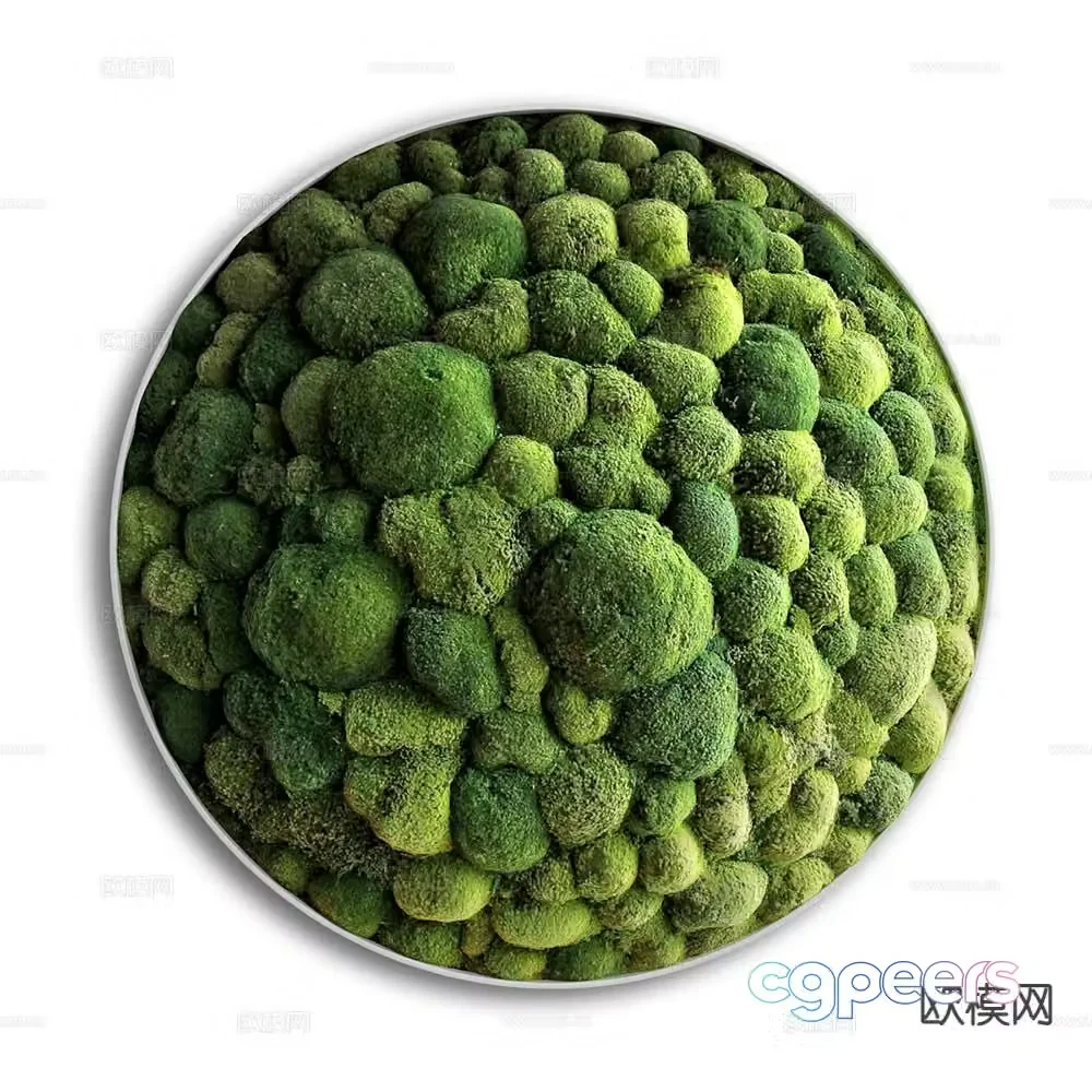 Moss wall decoration green plant wall decoration circular plant wall 3d model