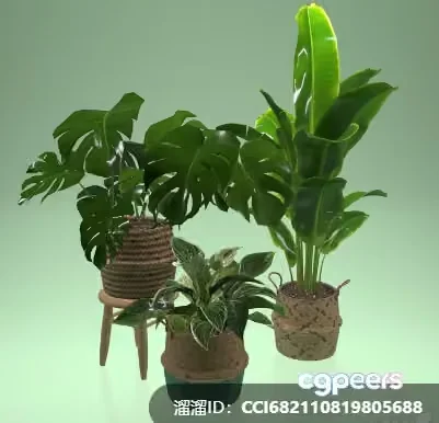 Three Potted Plants 3D Model – 8790 – VRAY Render