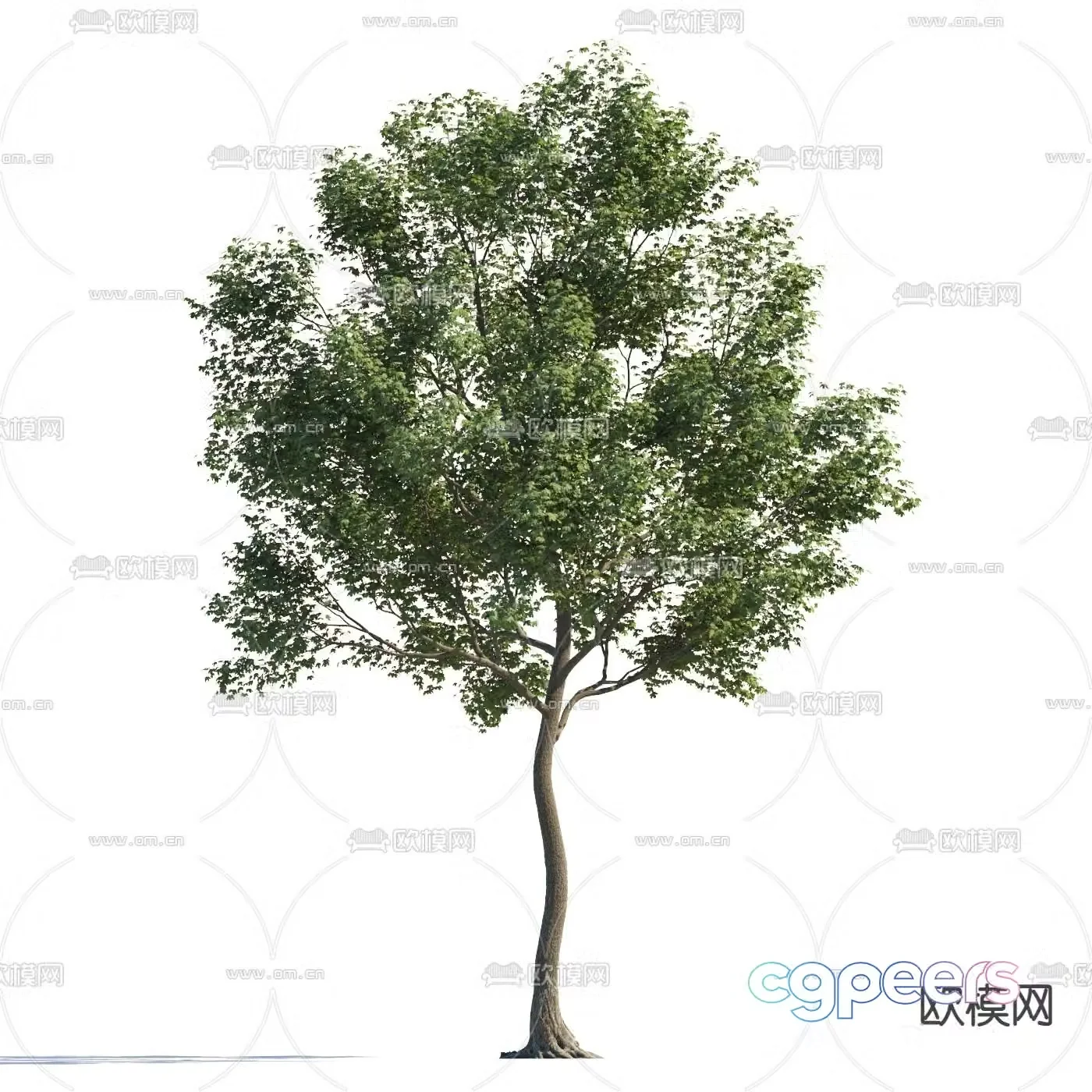 Landscape tree Garden tree Walking tree 3d model