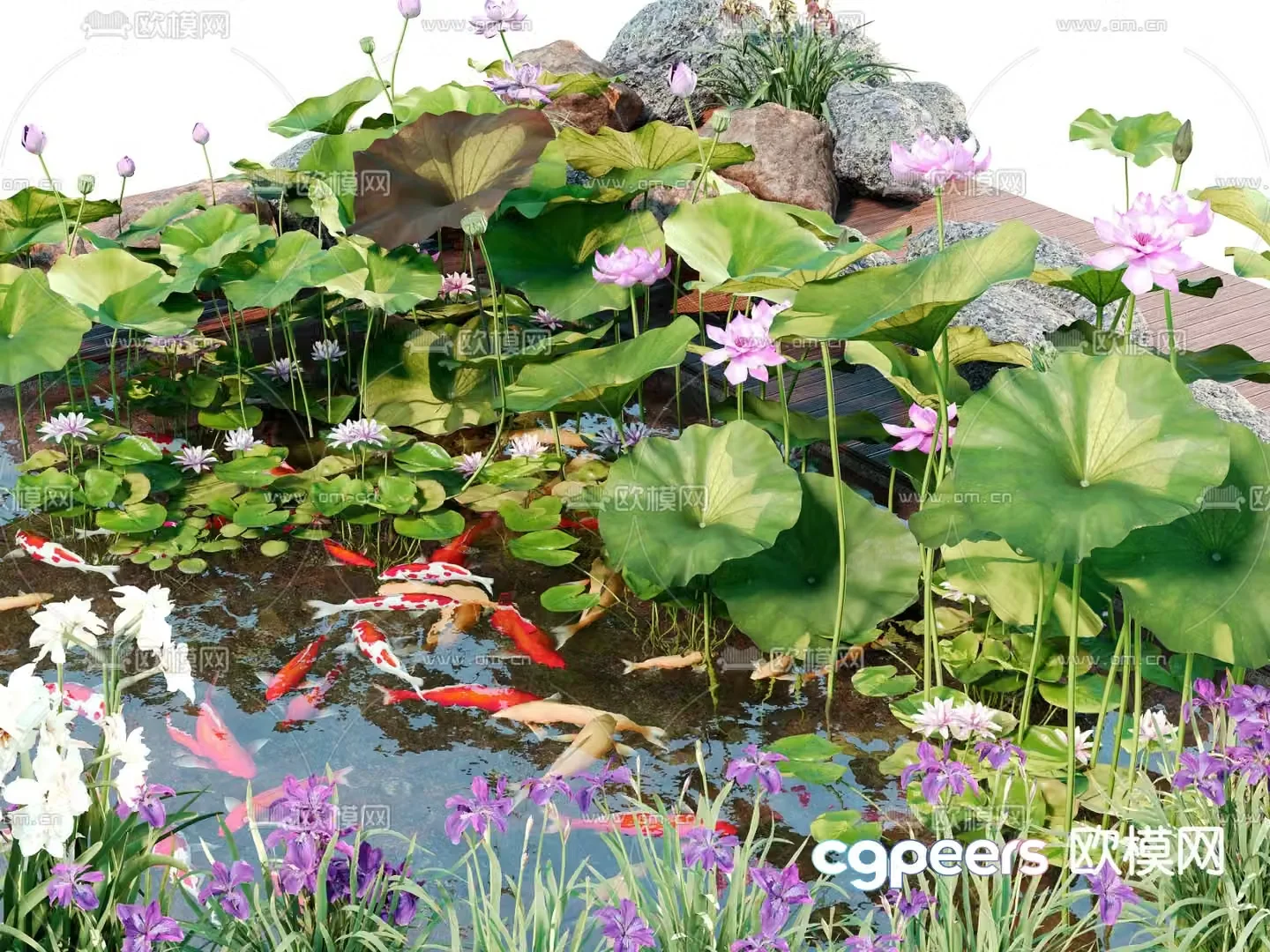 Modern lotus pond koi pond 3d model