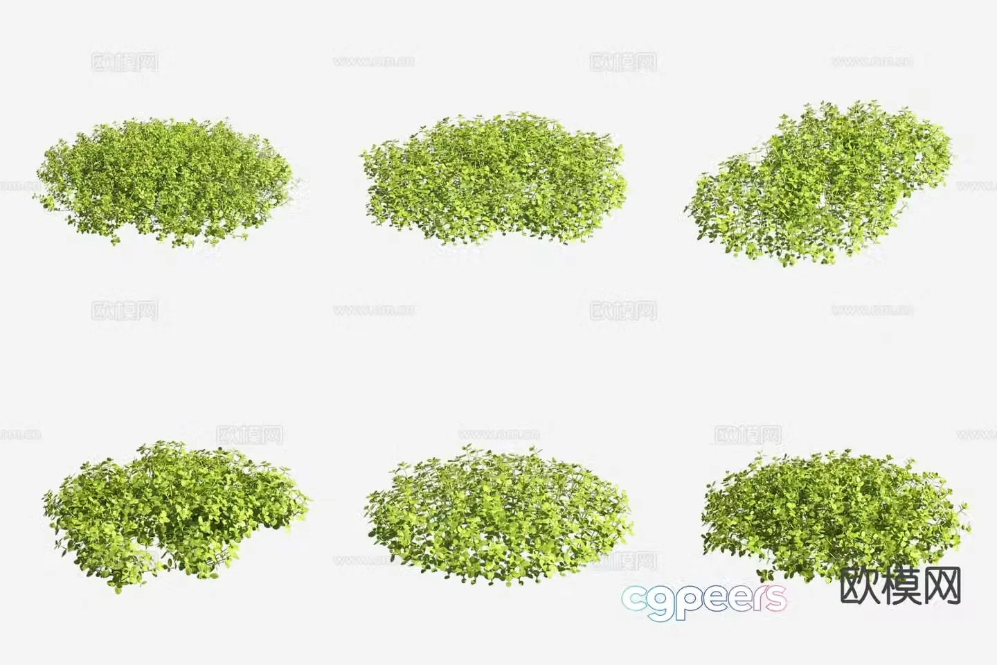Microflower and grass aquatic plants 3D model