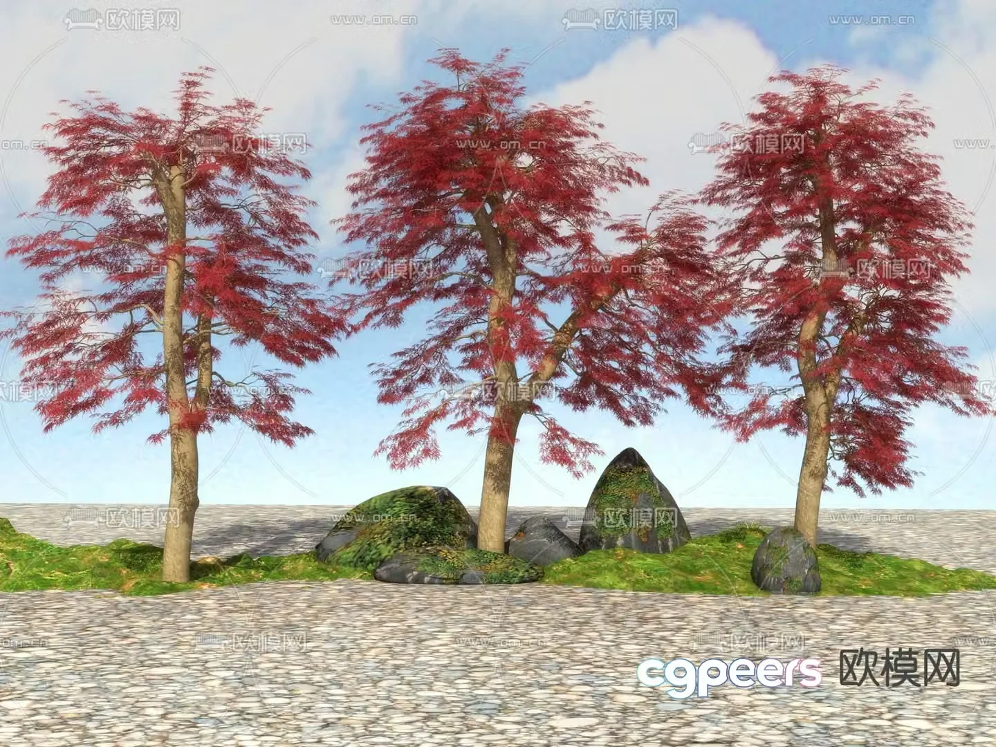 Landscape tree tree red maple 3d model