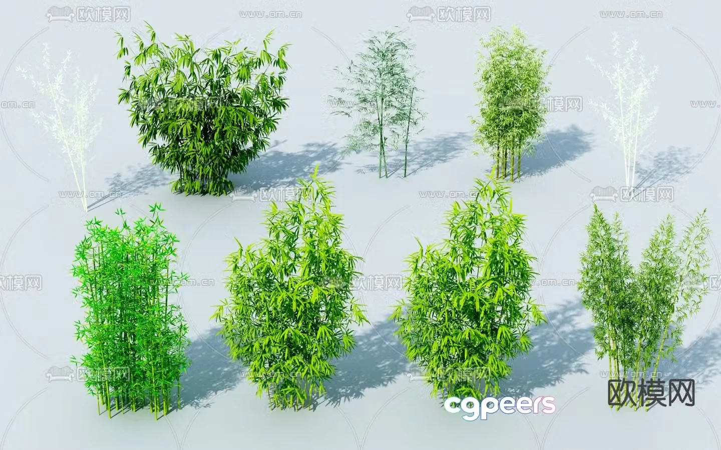 Bamboo rich bamboo green bamboo 3d model