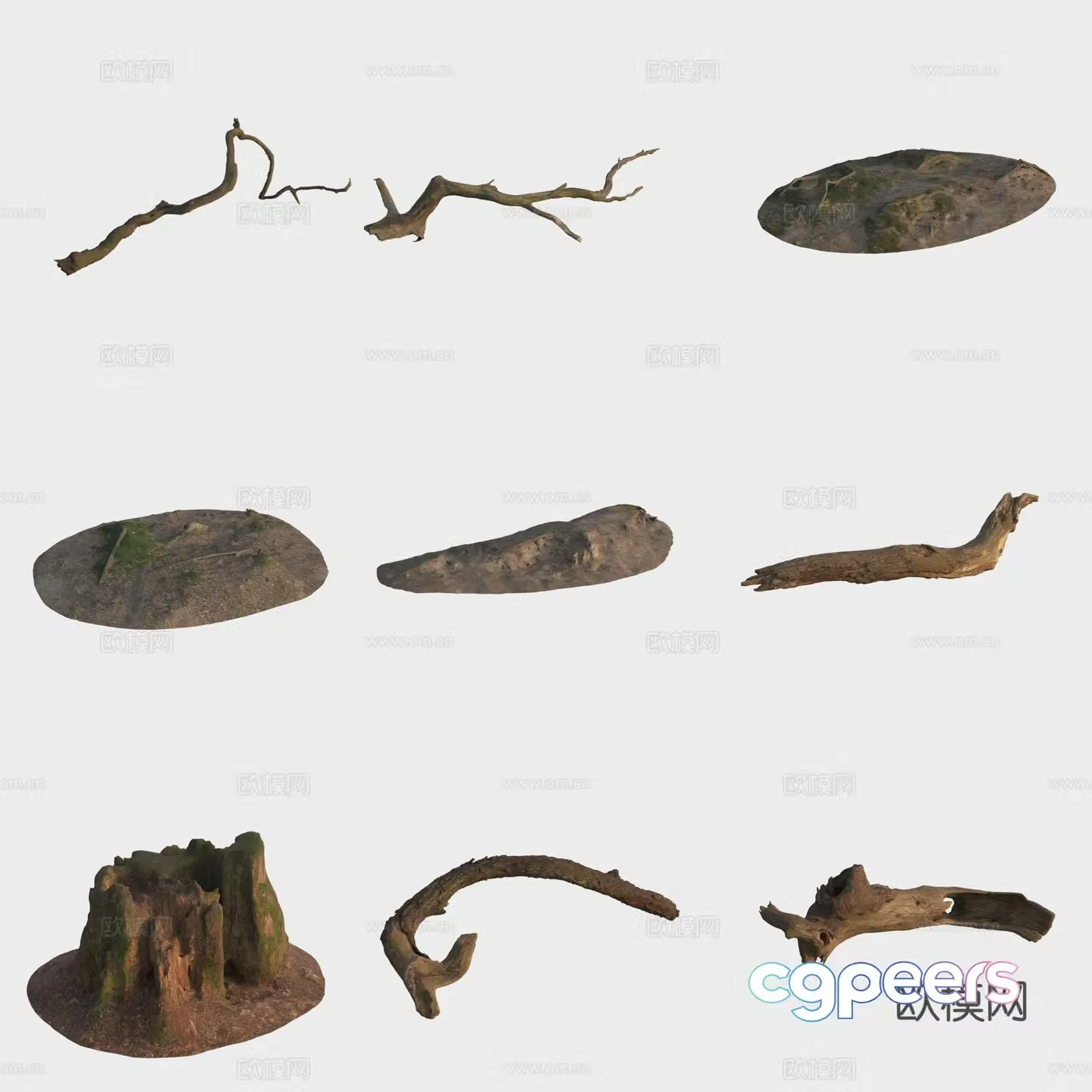 3d model of trunk branches stump