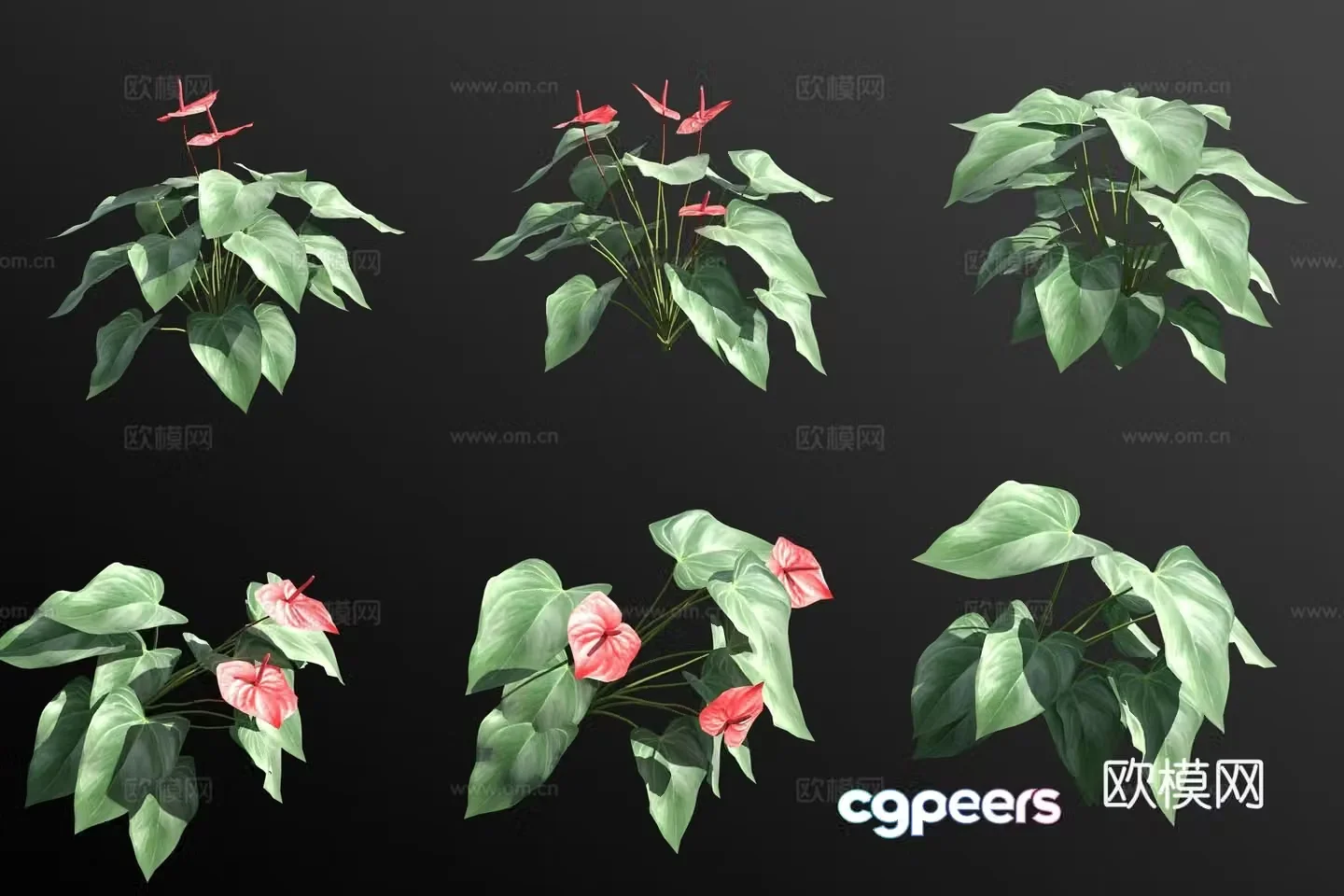 3d model of candles and flowers
