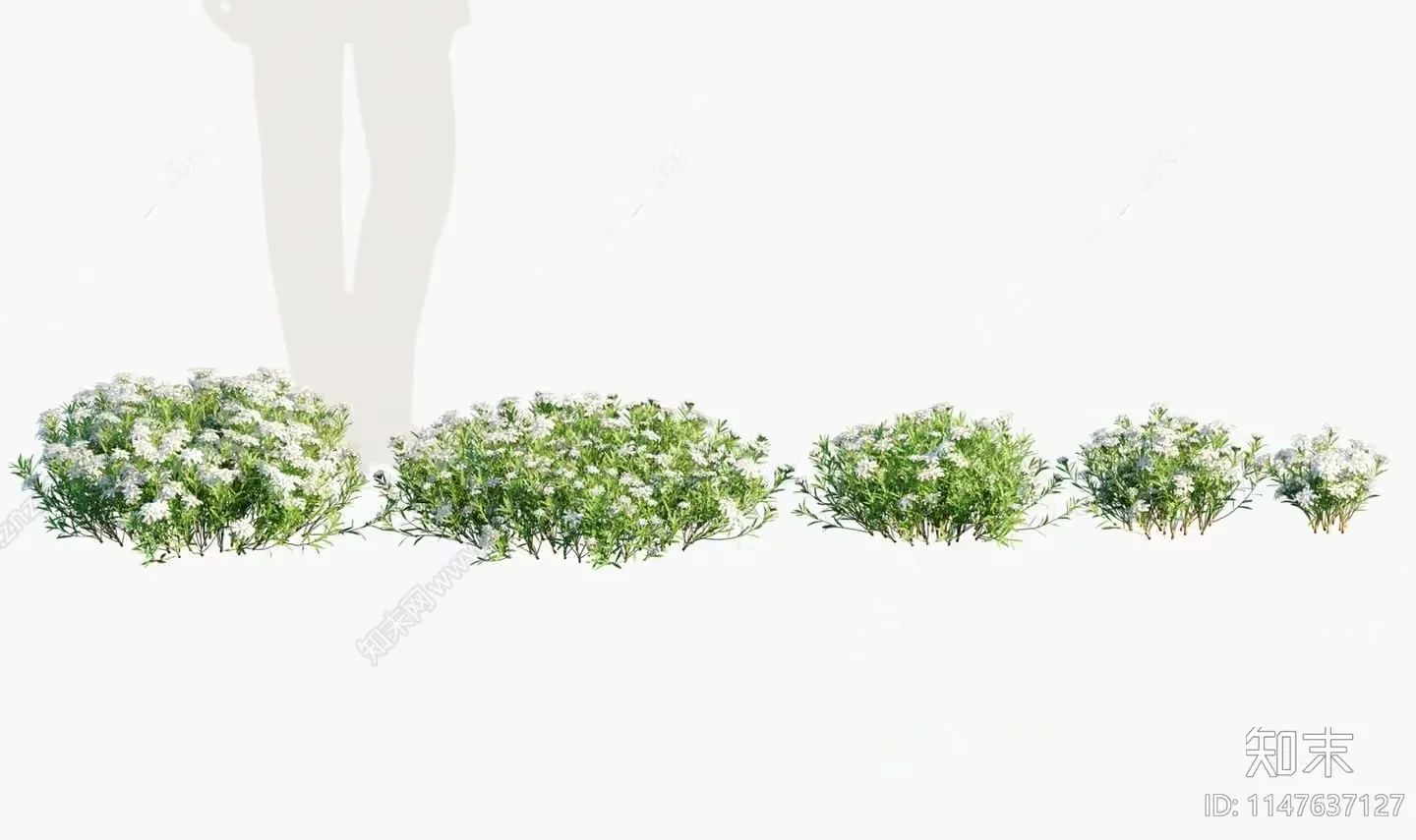 Flowers And A Person 3D Model – 14975 – VRAY Render