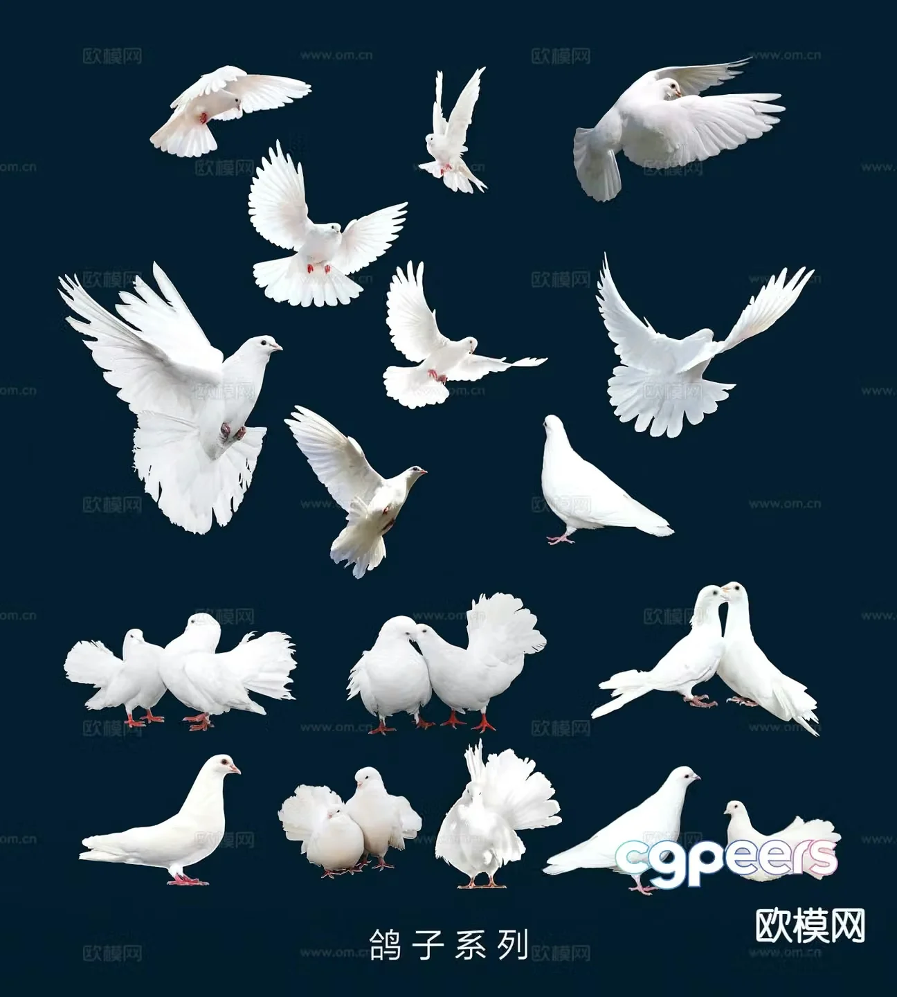 dove dove of peace wall decoration wall sticker 3d model