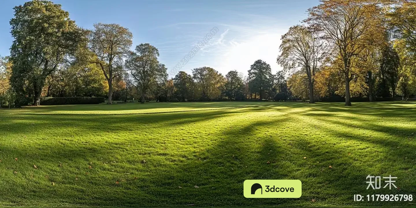 A Large Grassy Field