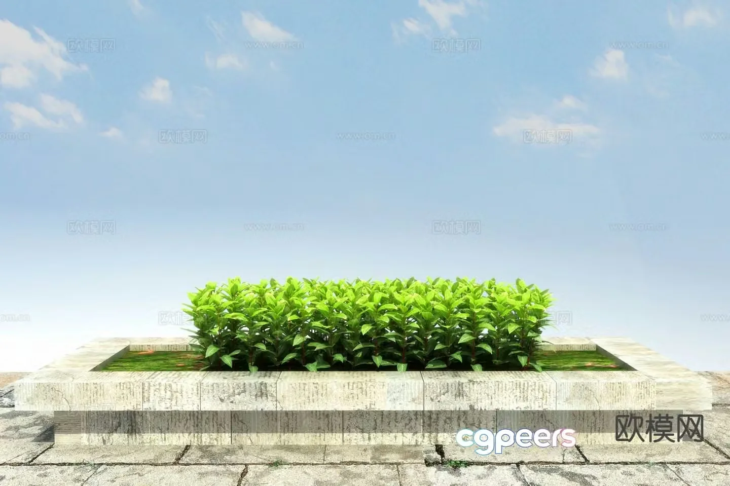 Shrub Golden Vein Jue Bed 3D Model