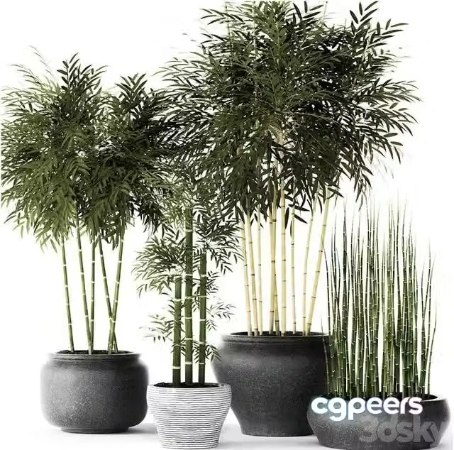 3ds Max Free – Bamboo and Equisetum collection