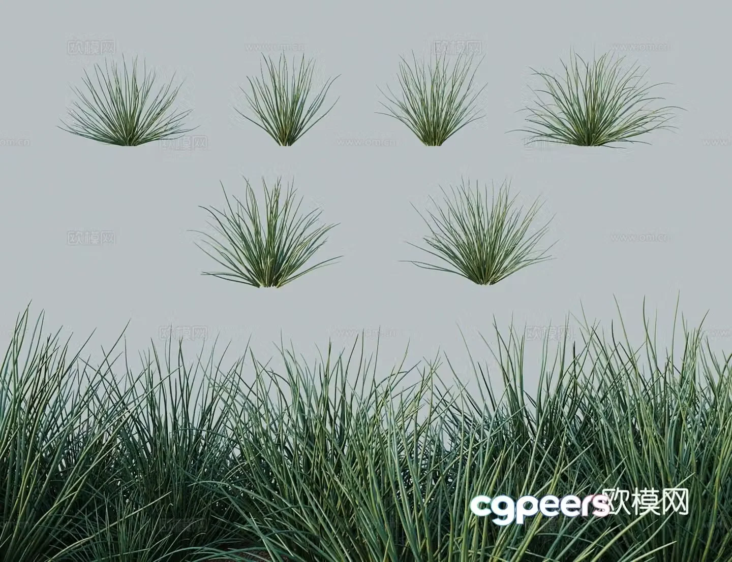Modern tree shrub Mongolian leek Mengyuan sand onion tea onion 3D model