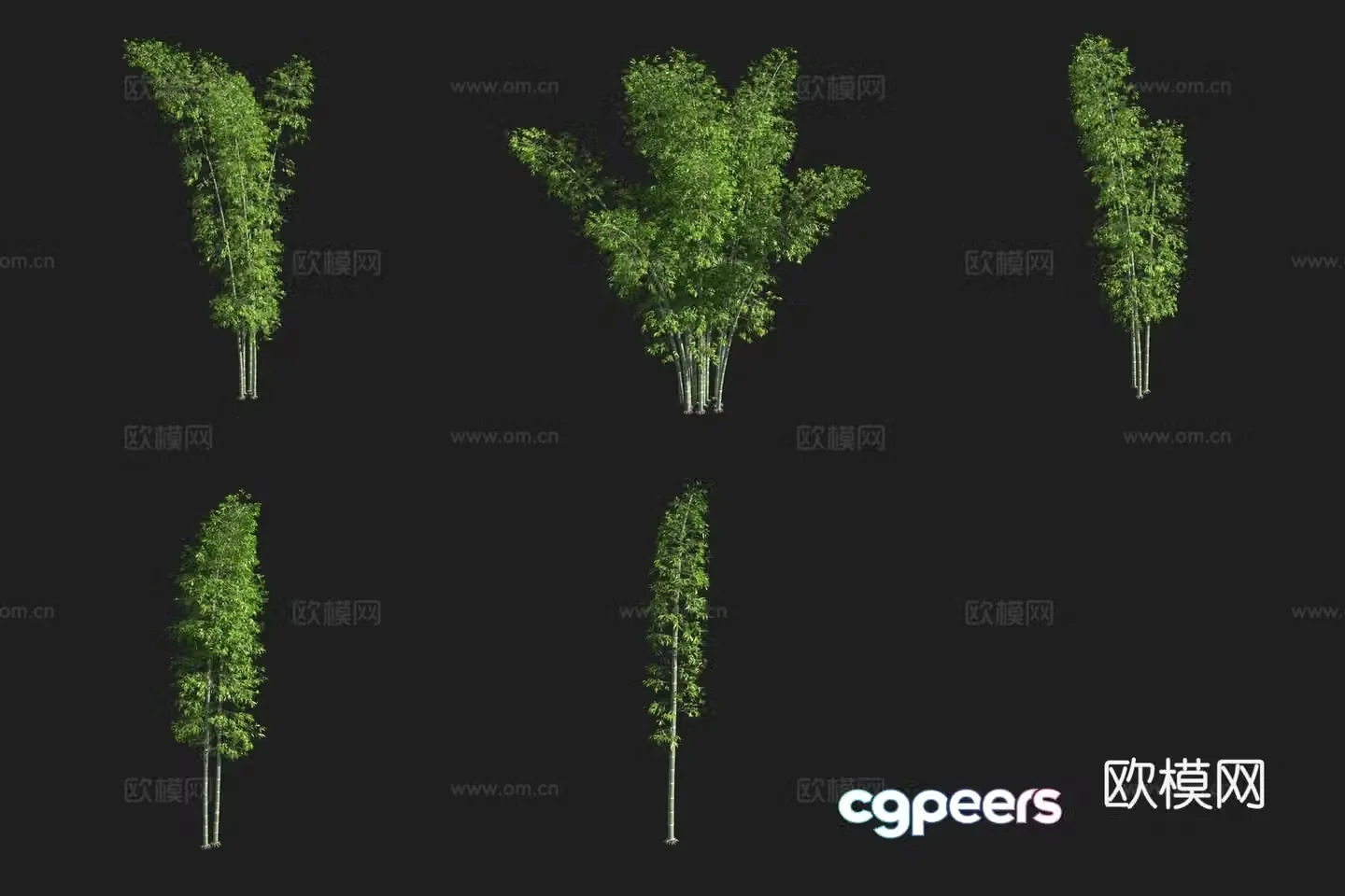 3D model of narrow-leaf melon bamboo bamboo forest
