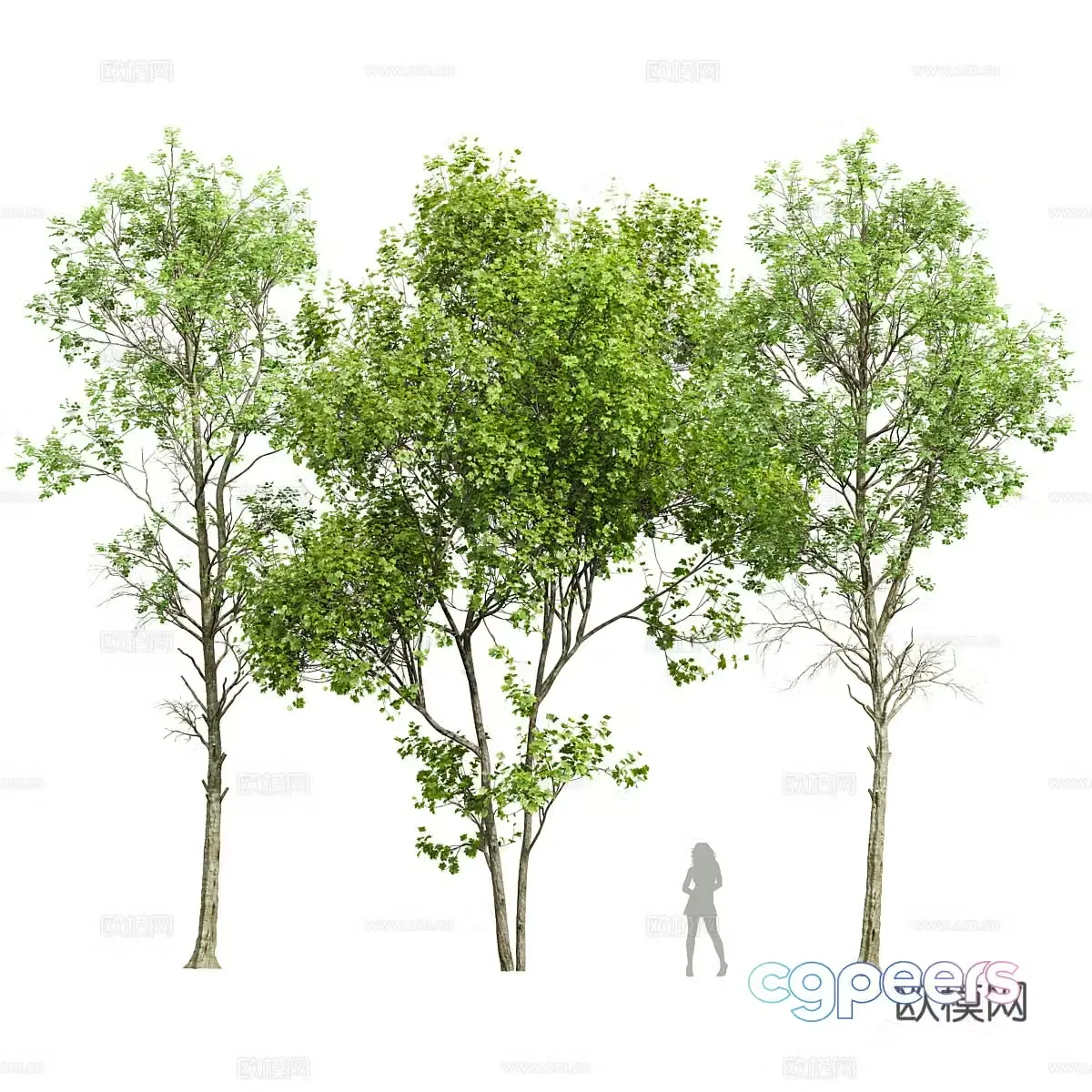 Big tree landscape tree 3d model