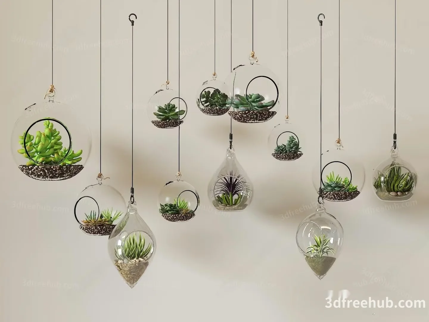 Glass Terrariums With Plants Inside 3D Model – 23611 – VRAY Render