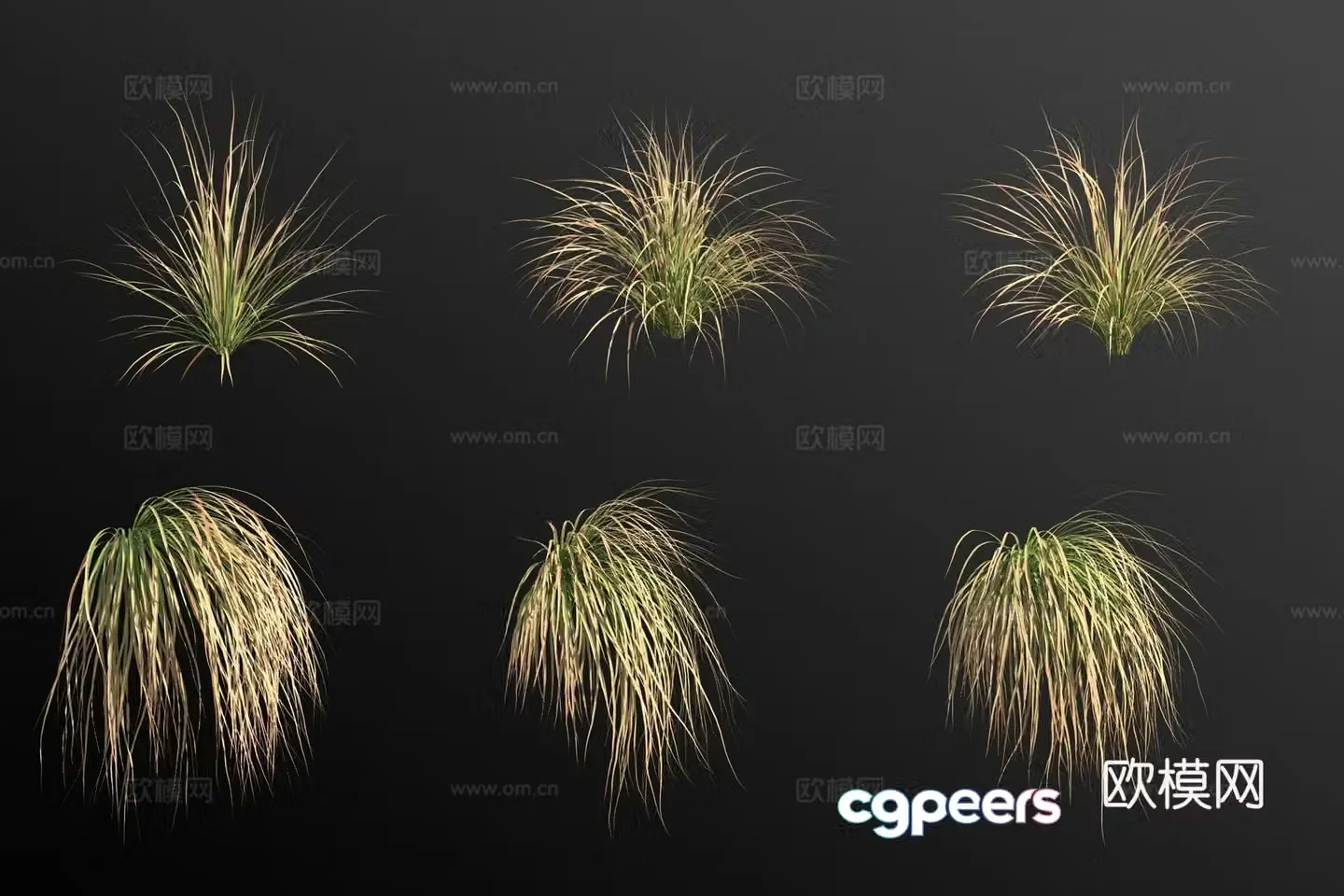 Orange Carex flower and grass 3d model