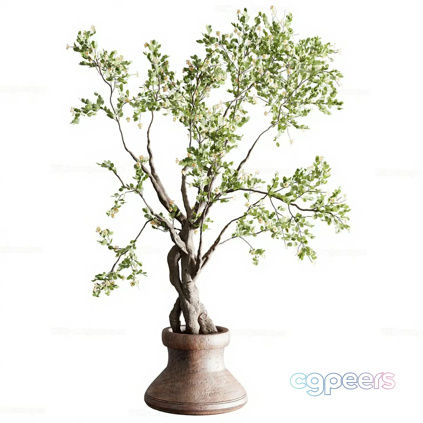 A Potted Plant 3D Model – 16062 – VRAY Render