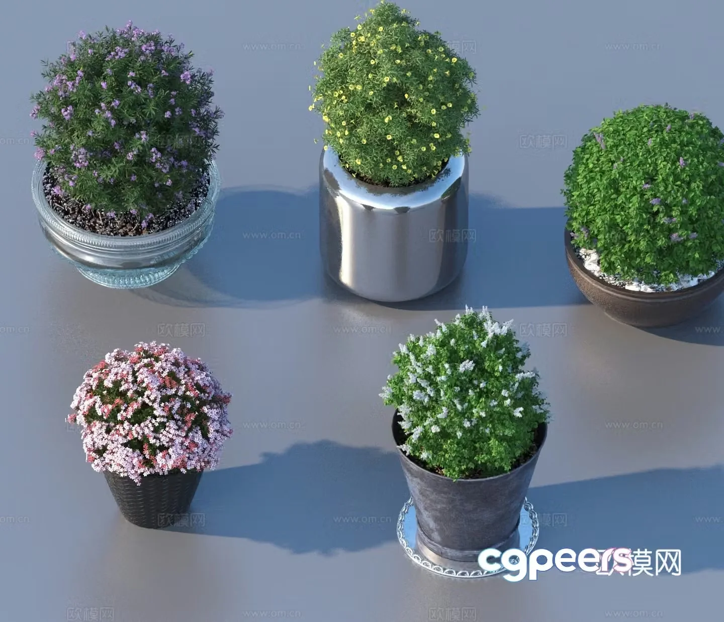 flowerpot potted plant green plant plant 3d model