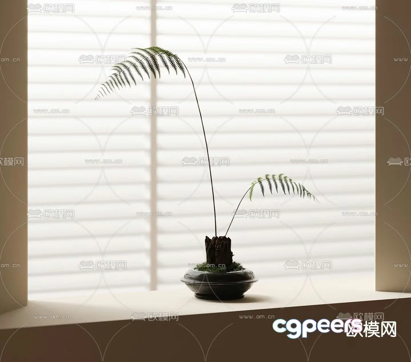 Fern potted bonsai 3d model