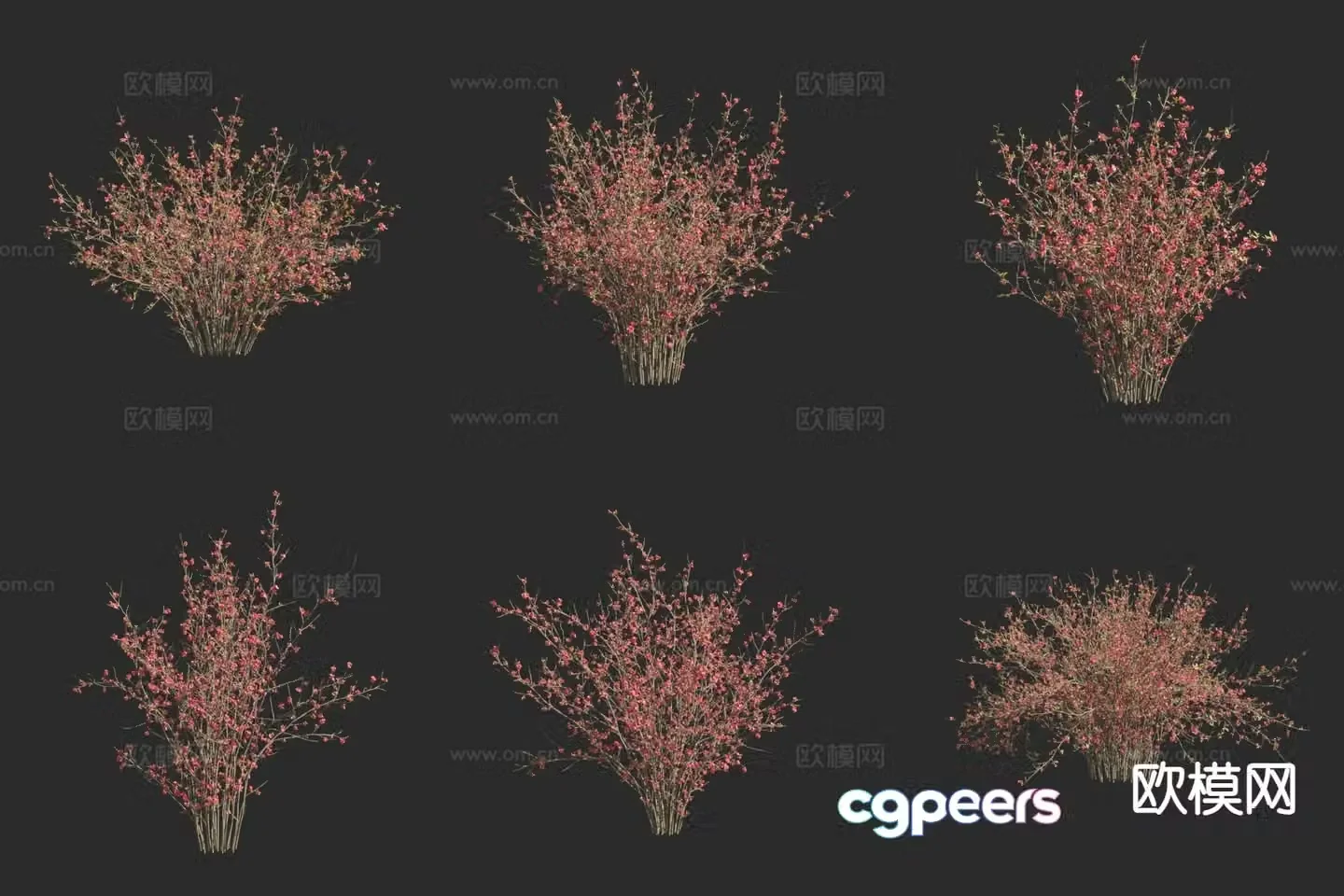 Landscape tree small tree papaya tree 3d model