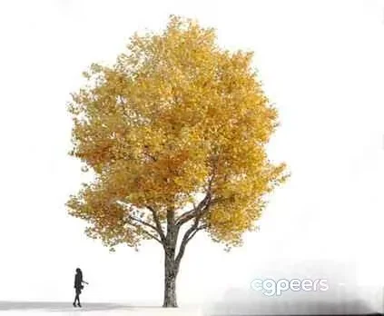 A Person Walking Near A Tree 3D Model – 18630 – VRAY Render