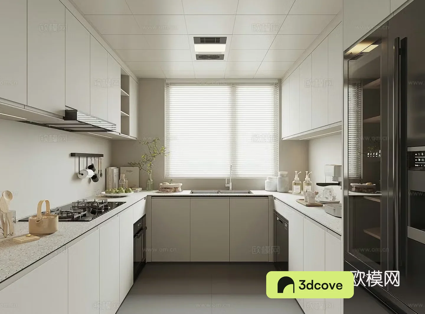 Modern home kitchen