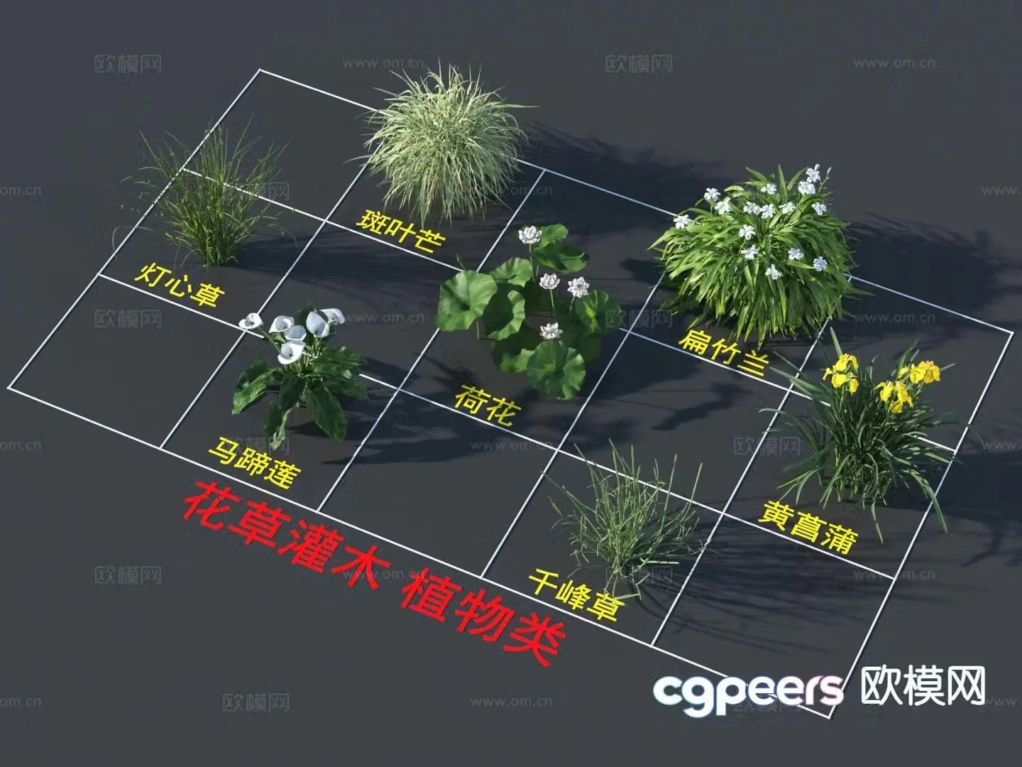 Flowers and plants spotted leaves flat bamboo orchids rushes 3D model