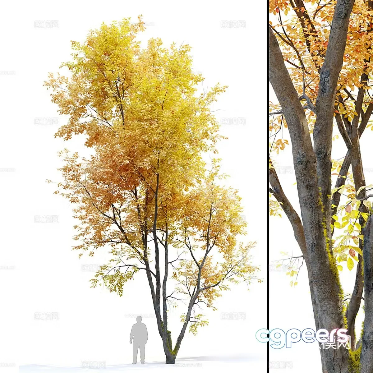 Yellow tree 3d model