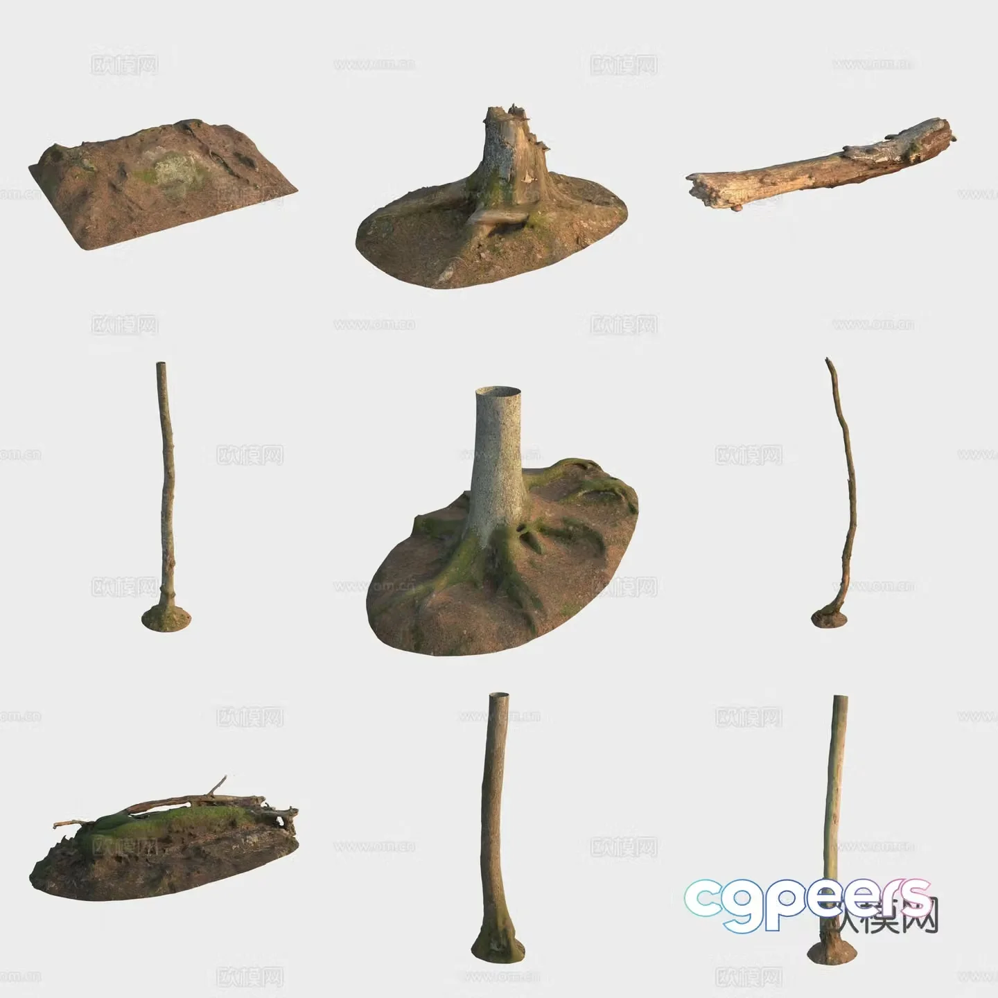 3d model of trunk branches stump