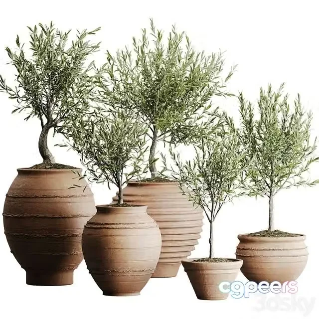 3ds Max Free – outdoor plant set 06