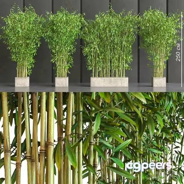 3ds Max Free – potted bamboo