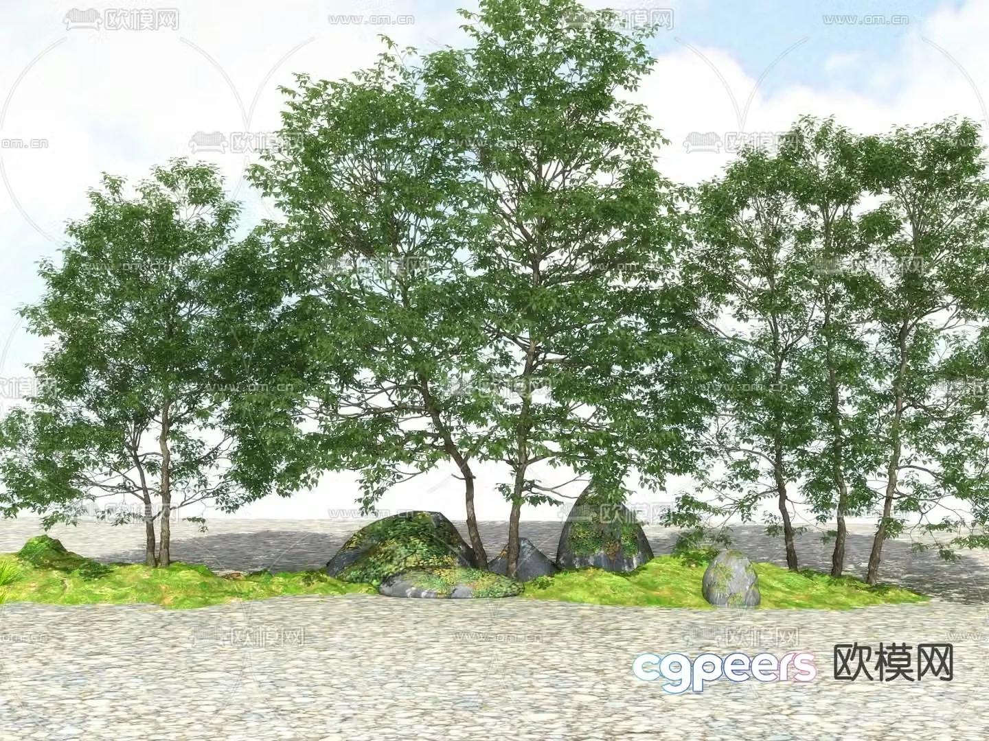 Outdoor green plants tree tree big tree tree 3d model