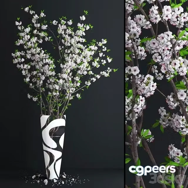 3ds Max Free – Cherry White Blossom